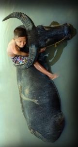 A Mesmerizing Encounter: Human-Elephant Bonding in Water