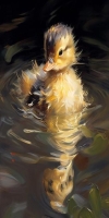 Adorable Duckling's Solo Swim: A Study in Fluffy Yellow Charm