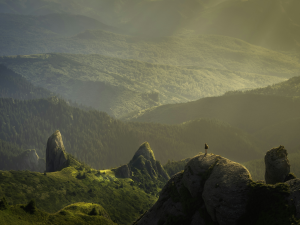 Alone in the unspoilt wilderness