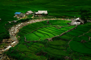 Breathtaking Green Terraces of Sapa: A Cultural Gem in Lào Cai, Việt Nam