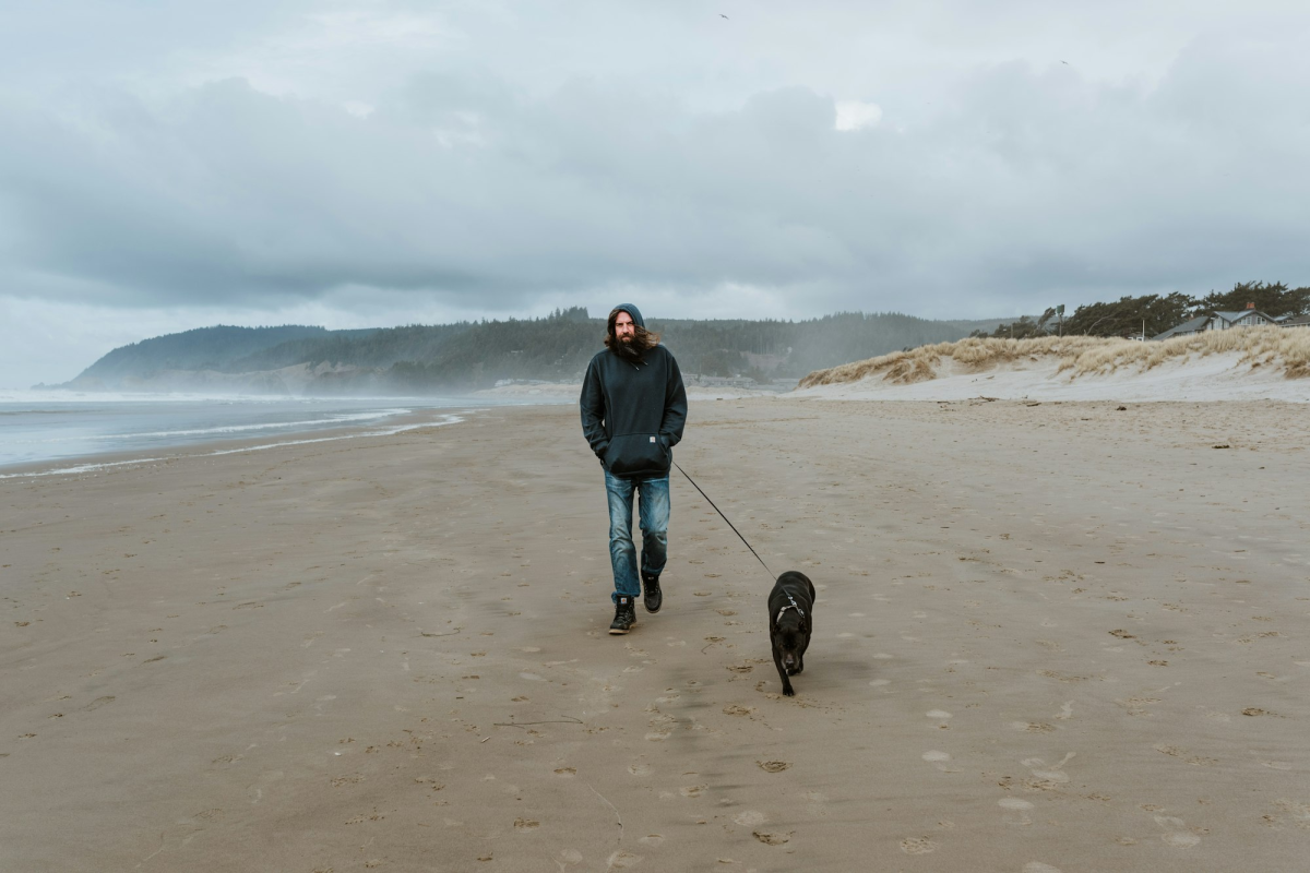 Embracing Nature: A Canine Adventure Along the Ocean Shore
