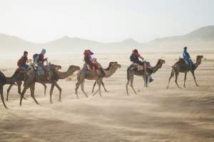 Experiencing the Moroccan Desert: A Camel Riding Adventure