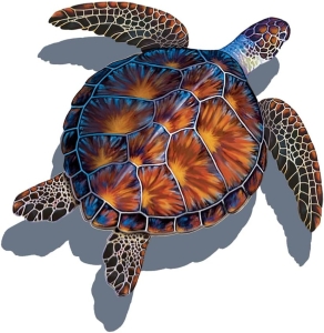 Exploring the Vibrant Beauty of Marine Life: The Sea Turtle's Colorful Shell