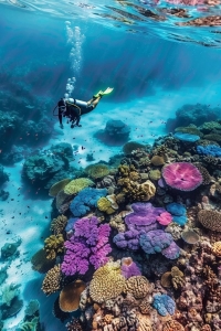 Exploring Vibrant Underwater Coral Reefs: A Diver's Perspective