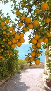 Lemon-Grove Walkway: A Vibrant Summer's Stroll by the Sea