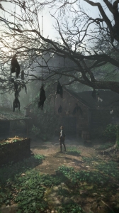 Mysterious Night in a Haunted Forest: A Gamer's Perspective