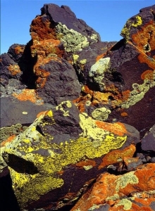 Palette of Nature: The Colorful Rocky Landscape