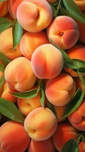 Peach Harvest: A Symphony of Color, Taste, and Nutrition