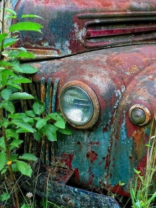 Reclaimed by Nature: The Tale of an Abandoned, Rusty Truck