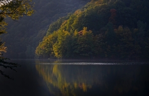 Serene Autumn Evening in the Forest: A Symphony of Colors
