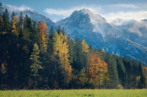 Serene Mountain Landscape Amidst Autumnal Forest