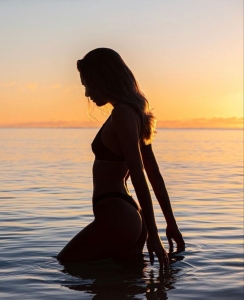 Sunset Silhouette: A Serene Encounter with Nature