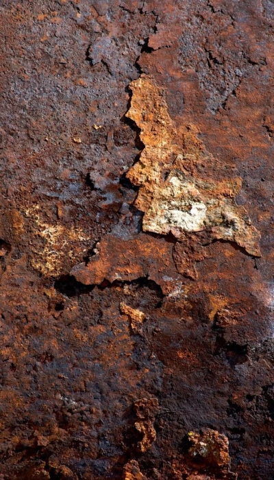 The Aesthetic Decay: Unraveling the Beauty of Weathered Wood