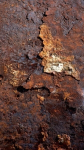 The Aesthetic Decay: Unraveling the Beauty of Weathered Wood
