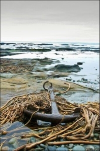 The Anchor's Rest: Marooned on a Secluded Shoreline