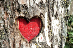 The Enchanting Love Tree: A Symbol of Enduring Affection