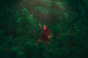 The Light in the Forest: A Beacon on the Dark Side