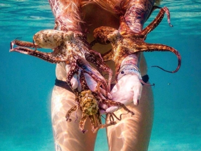 Underwater Model's Encounter with Octopuses: A Dive into the Marine World