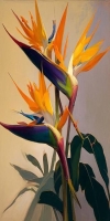 Unveiling the Vibrancy of Bird-of-Paradise Flowers: An Artistic Perspective